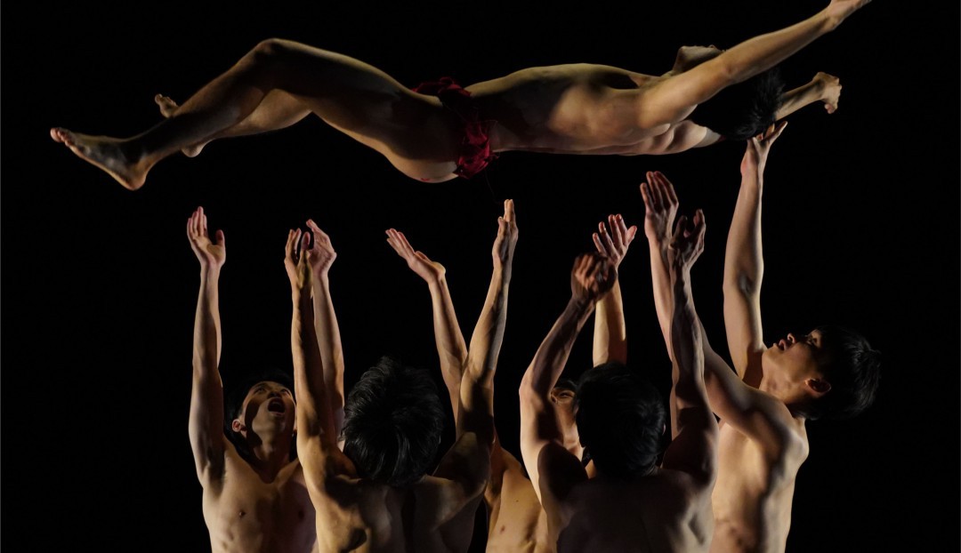 Imagen noticia - A la venta el Festival Internacional de Danza Contemporánea de Canarias, 'MASDANZA'