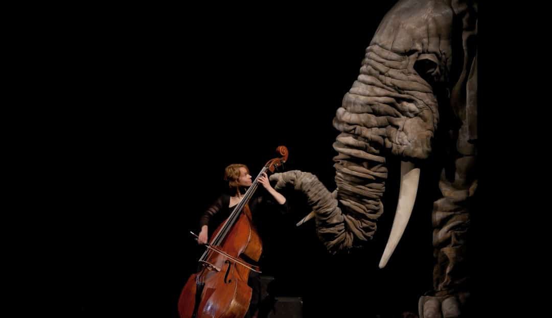 Imagen noticia - Soñando el carnaval de los animales: música y títeres en familia